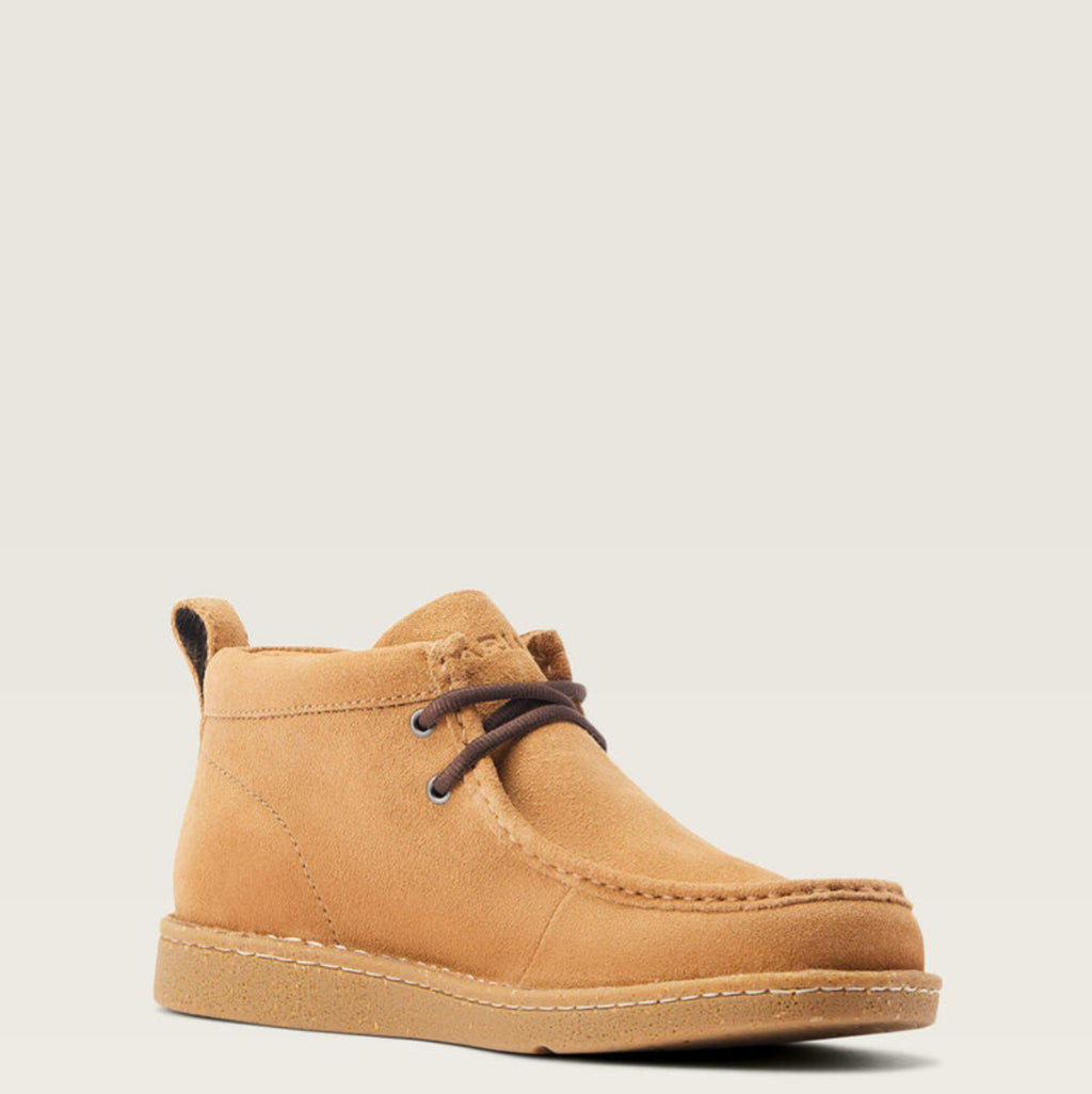 ARIAT | PAÍS LIMPIO