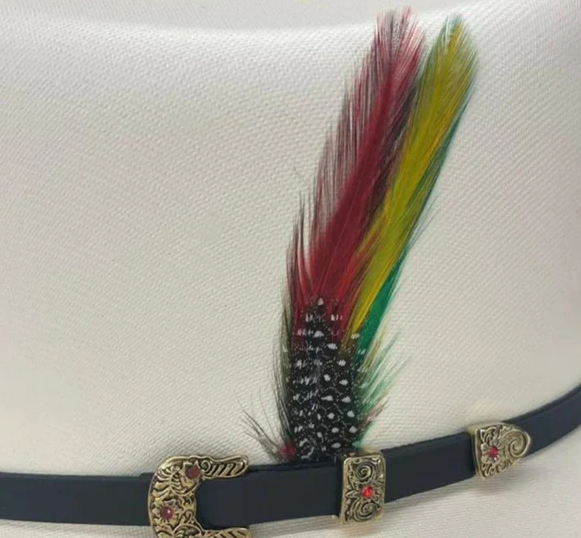 Sombrero vaquero Chaparral Tombstone 5,000X (estilo Sinaloa) TOM-2612